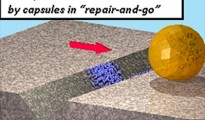 UMass Amherst Polymer Science Team Designs New Nanotech Technique for Lower-Cost Materials Repair