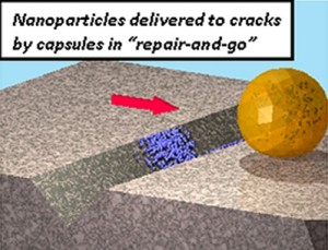 UMass Amherst Polymer Science Team Designs New Nanotech Technique for Lower-Cost Materials Repair