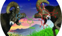 Chemistry professor developing sustainable bioplastics