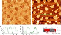 Chemists create ordered planar polymers for the first time