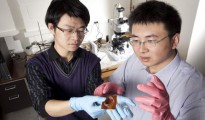 Electrically stimulated polymers eyed for medical devices