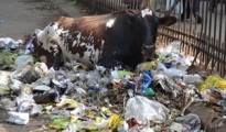 Supreme Court to consider total plastics ban / Anti-littering effort supported by TV station