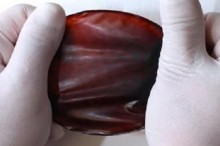 An easier way to turn plant scraps to plastics