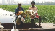 Plastic Bags Polluting Powai Lake Removal Programme