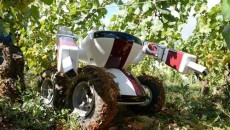 Robot Takes Care of Your Vino