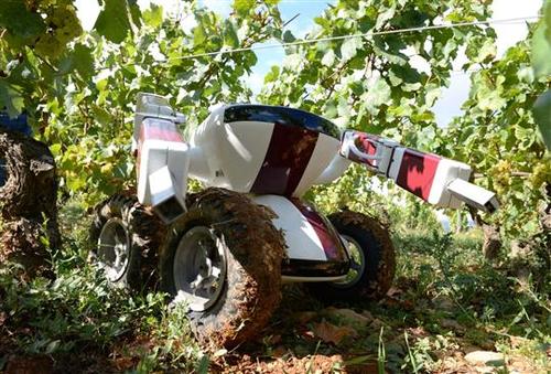 Robot Takes Care of Your Vino