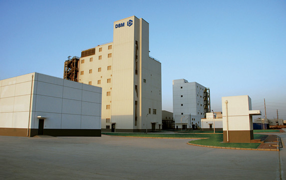 DSM Engineering Plastics invests for growth in Specialty Polyamides