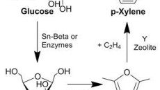 High-Yield Path to Making Key Ingredient for Plastic, Xylene, from Biomass