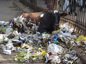 Supreme Court to consider total plastics ban / Anti-littering effort supported by TV station Supreme Court to consider total plastics ban / Anti-littering effort supported by TV station