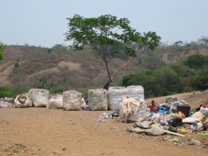 Plastics threaten ecosystem in Alagarkoil hills Plastics threaten ecosystem in Alagarkoil hills
