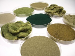 Dordan successfully thermoforms algae-plastic, will display sample at Pack Expo
