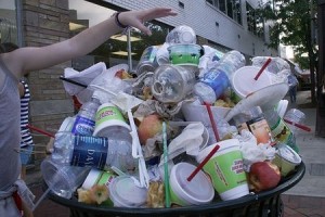 Dispose plastic, inorganic waste properly Dispose plastic, inorganic waste properly