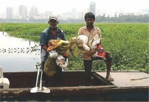 Plastic Bags Polluting Powai Lake Removal Programme Plastic Bags Polluting Powai Lake Removal Programme