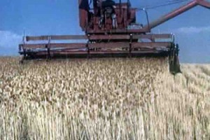 Clariant unveils its innovative Hostavin NOW® technology for agriculture films Clariant unveils its innovative Hostavin NOW® technology for agriculture films