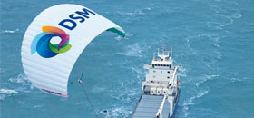 DSM DYNEEMA ACTS AGAINST PATENT INFRINGER DSM DYNEEMA ACTS AGAINST PATENT INFRINGER