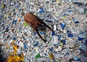 New Delhi, India, to attempt another ban on plastic bags New Delhi, India, to attempt another ban on plastic bags