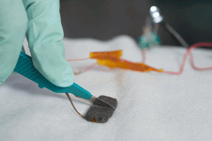 New plastic skin self-heals after cutting New plastic skin self-heals after cutting
