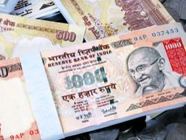 Indian PP offers edge up in global markets Indian PP offers edge up in global markets