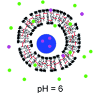 Switchable permeability for polymersomes Switchable permeability for polymersomes