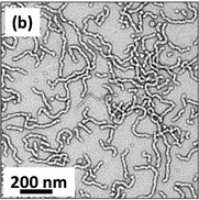 Polymer Centre Research Highlight Polymer Centre Research Highlight