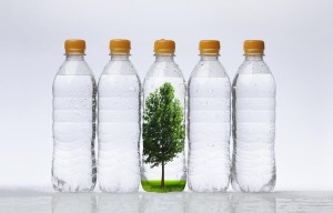 Exhibit wants society to “rethink” relationship with plastics Exhibit wants society to “rethink” relationship with plastics