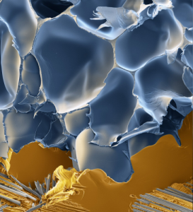 BASF introduces PET foam for wind turbine blade production BASF introduces PET foam for wind turbine blade production
