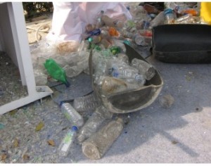 EU issues Green Paper to discuss management of plastics waste EU issues Green Paper to discuss management of plastics waste