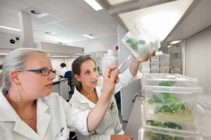 Bayer CropScience opens new development facilities and laboratories at North American headquarters Bayer CropScience opens new development facilities and laboratories at North American headquarters