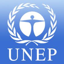 UNEP calls for a rethink of current recycling practices UNEP calls for a rethink of current recycling practices