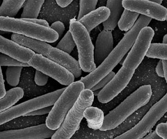 Plastics Color Corp. Expands Antimicrobial Line Plastics Color Corp. Expands Antimicrobial Line