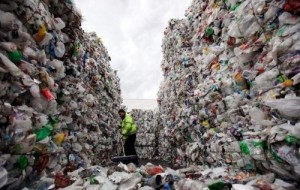 Plastic-breaking bacteria need field test Plastic-breaking bacteria need field test