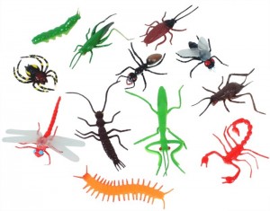 Plastic bugs may spare Kolkata a choking death Plastic bugs may spare Kolkata a choking death