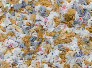 California presses for ban on single-use plastic bag