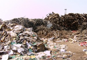 government urged to curb dumping of hazardous plastic scrap government urged to curb dumping of hazardous plastic scrap