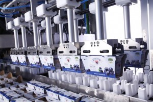 Milchhof Sterzing Trusts OYSTAR A+F Milchhof Sterzing Trusts OYSTAR A+F