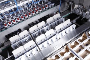 Milchhof Sterzing Trusts OYSTAR A+F Milchhof Sterzing Trusts OYSTAR A+F
