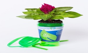 SeaWorld uses Coca-Cola’s PlantBottle technology for new packaging