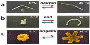 Shapeshifting plastics could revolutionize microrobotics and minimally invasive surgery