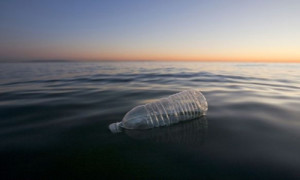 Plastic from Rice Waste? A Biodegradable Option