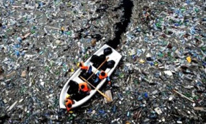 plastics news