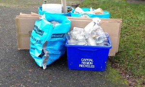 plastic bottle recycling