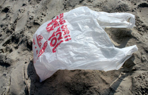 Plastic Recycling