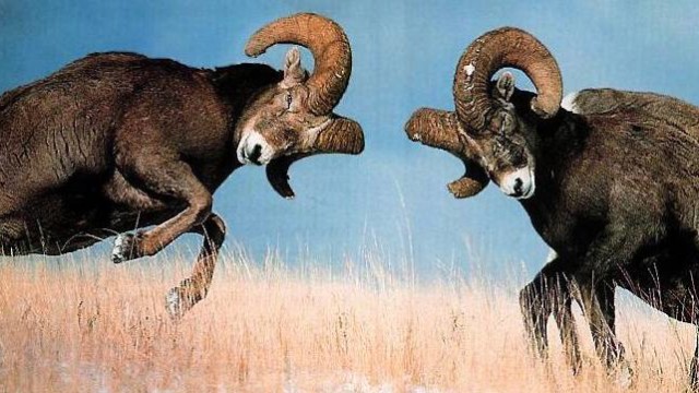 Winners announced for SPI's International Plastics Design Competition