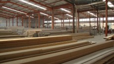 Will Southeast Asia’s PVC market maintain its rising trend in October?