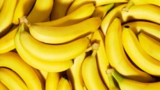 No more rotten bananas? Dole trials new banana packaging system