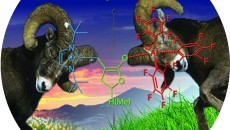 Chemistry professor developing sustainable bioplastics