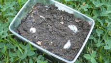 API and SACMI, together to develop a 100% biodegradable cap