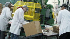 Alphapointe Plastics employs the vision impaired, purchases Matchless Molding
