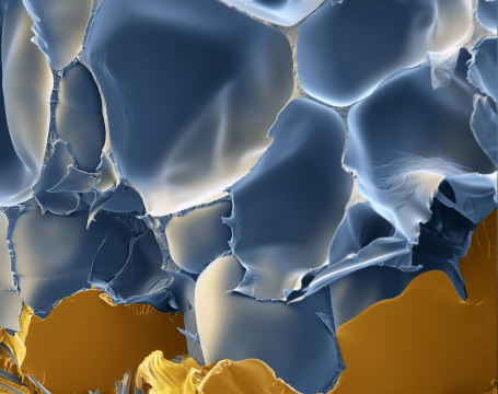 BASF introduces PET foam for wind turbine blade production