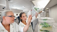 Bayer CropScience opens new development facilities and laboratories at North American headquarters